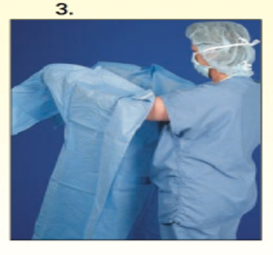 Option C
